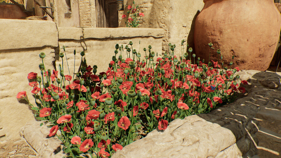 어쌔신크리드) 이거 양귀비 아님??_1.png