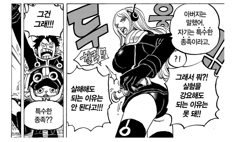 원피스)스포/인간이 최강의 종족인 이유_1.jpeg