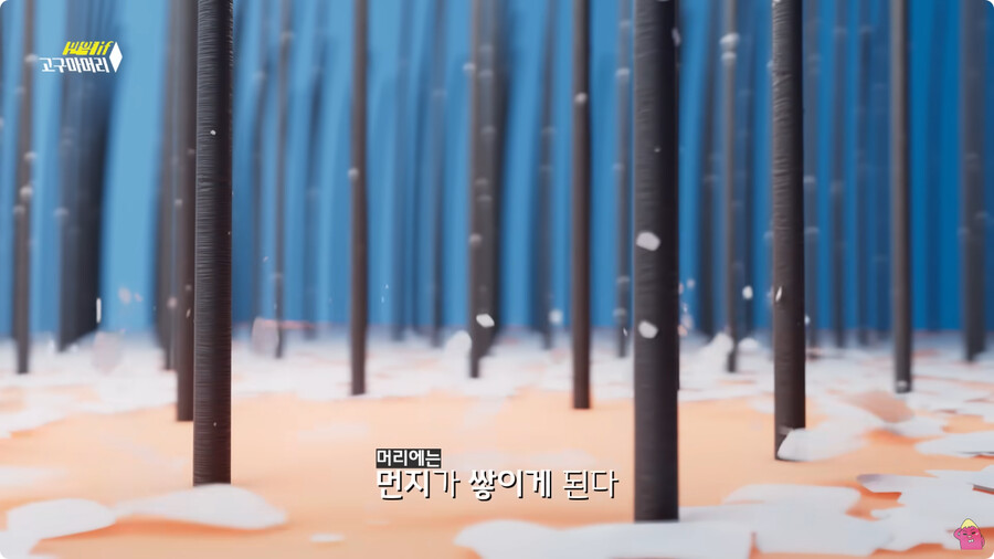 [스압] 한달 동안 머리를 감지 않으면 생기는 일.jpg_2.png