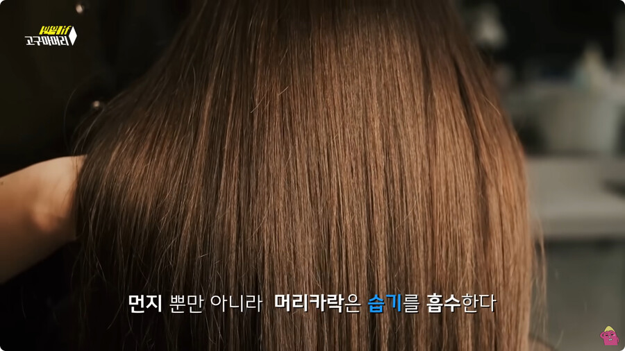 [스압] 한달 동안 머리를 감지 않으면 생기는 일.jpg_3.jpg