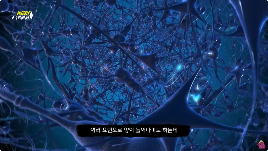 [스압] 한달 동안 머리를 감지 않으면 생기는 일.jpg_20.jpg