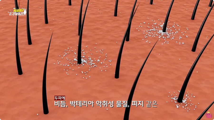 [스압] 한달 동안 머리를 감지 않으면 생기는 일.jpg_23.jpg