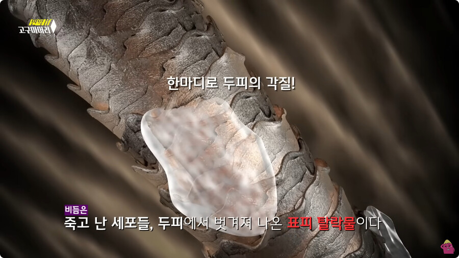 [스압] 한달 동안 머리를 감지 않으면 생기는 일.jpg_27.jpg