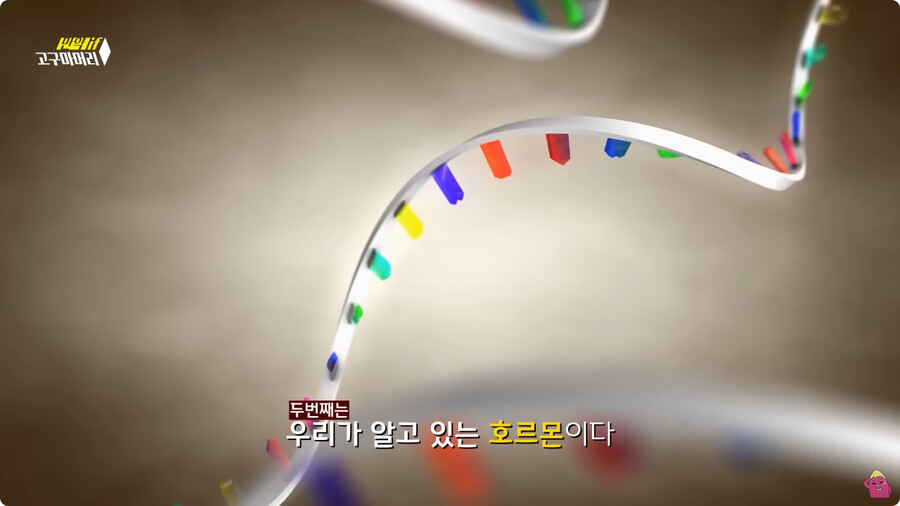[스압] 한달 동안 머리를 감지 않으면 생기는 일.jpg_81.jpg
