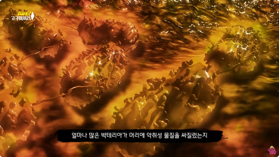 [스압] 한달 동안 머리를 감지 않으면 생기는 일.jpg_93.jpg