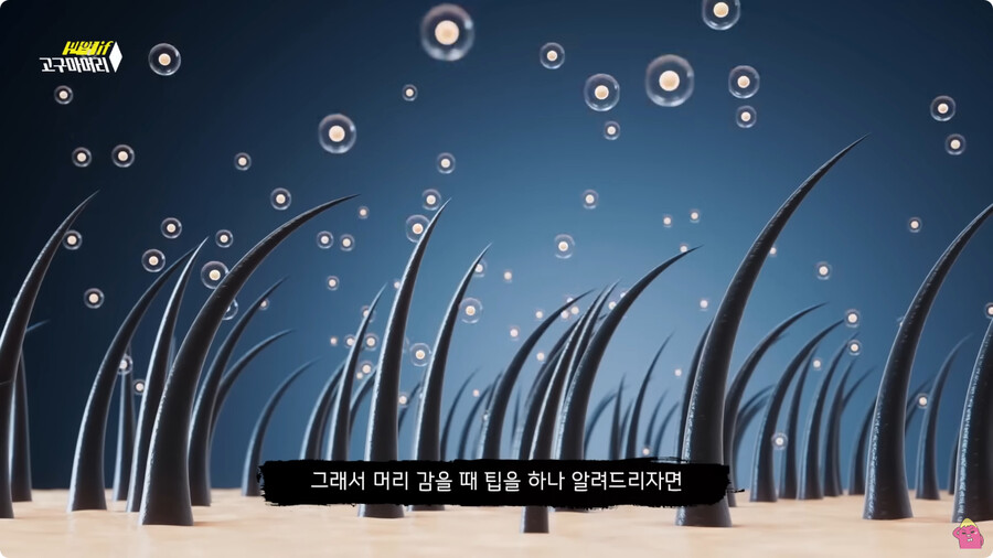 [스압] 한달 동안 머리를 감지 않으면 생기는 일.jpg_101.jpg