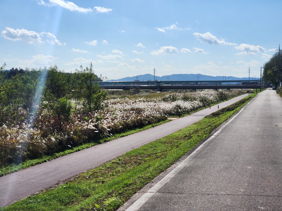 스압) 엄마가 수변공원에 갔다 오라고 하도 난리를 피우길래 갔다 왔다_5.jpg