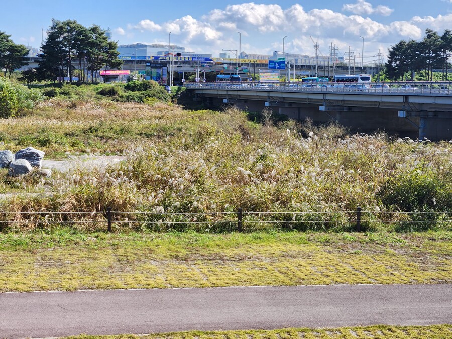 스압) 엄마가 수변공원에 갔다 오라고 하도 난리를 피우길래 갔다 왔다_7.jpg