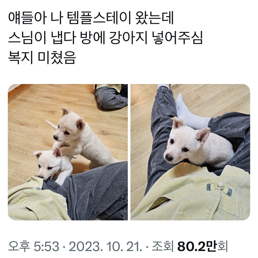 불교신자가 아니라도 템플스테이 가고 싶은 절