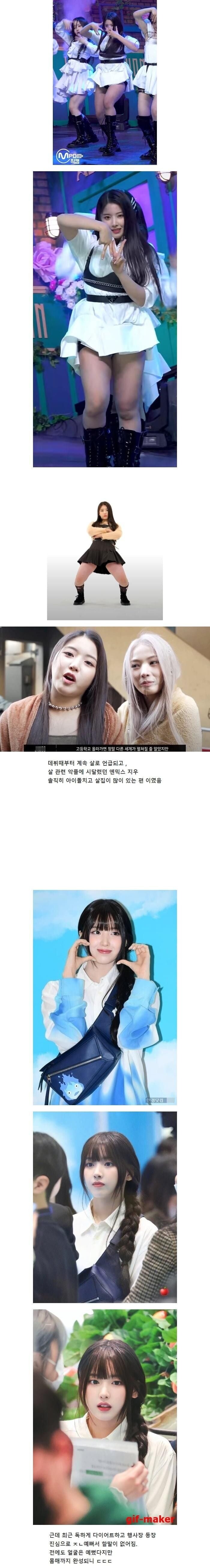 뚱뚱하다는 악플에 다이어트 후 돌아온 아이돌.jpg_1.jpg