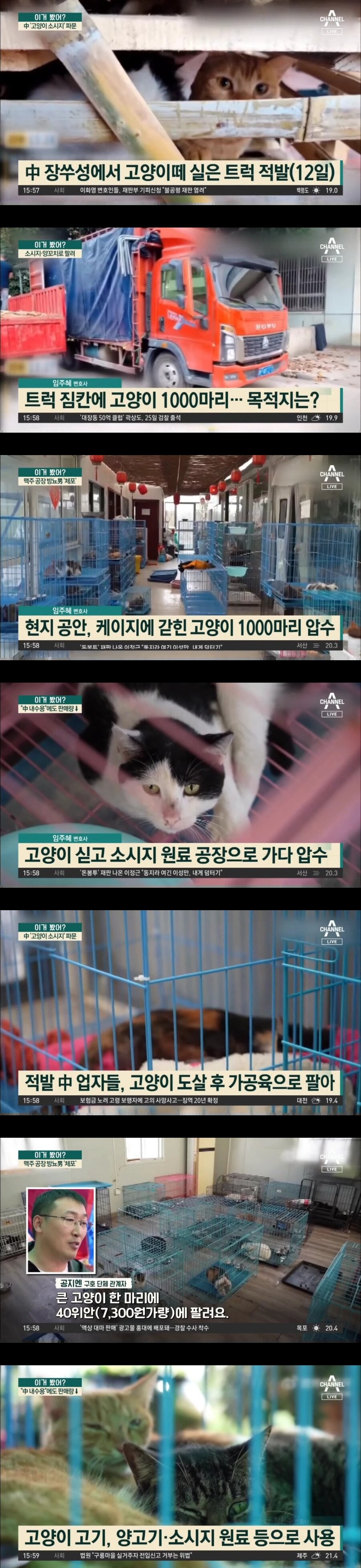 호러) 고양이로 소시지 만드는 중국 ㄷㄷ_1.jpg