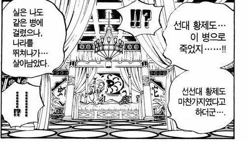 원피스)스포)뇽할멈의 새로운 사실_5.jpg