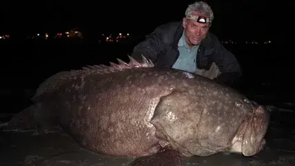 낚시 프로그램이 종영한 안 흔한 이유.jpg_1.webp