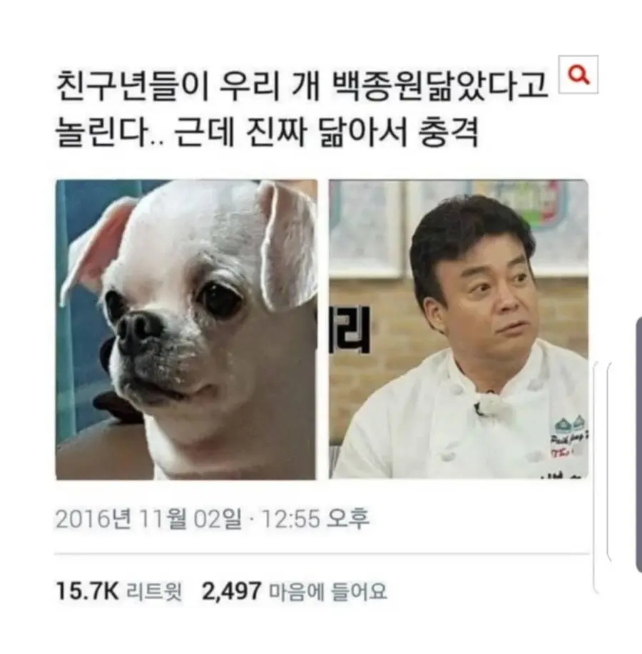 18b78d597e41f8c61.webp