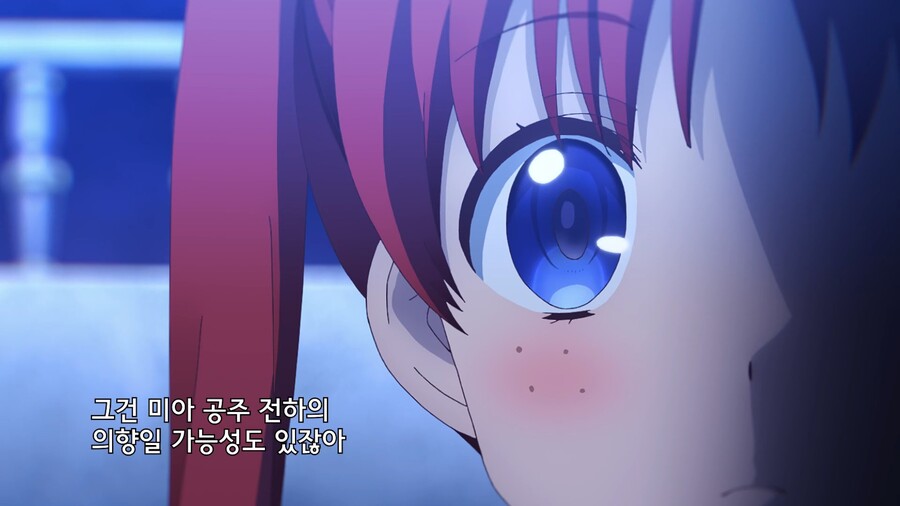 티어문제국]미아 전하의 의향인거 아니야?_5.jpg