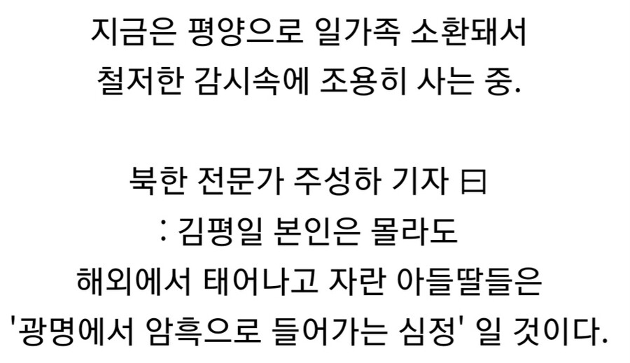 40년 가까이 혼밥 먹었던 김일성 아들.jpg_12.jpg