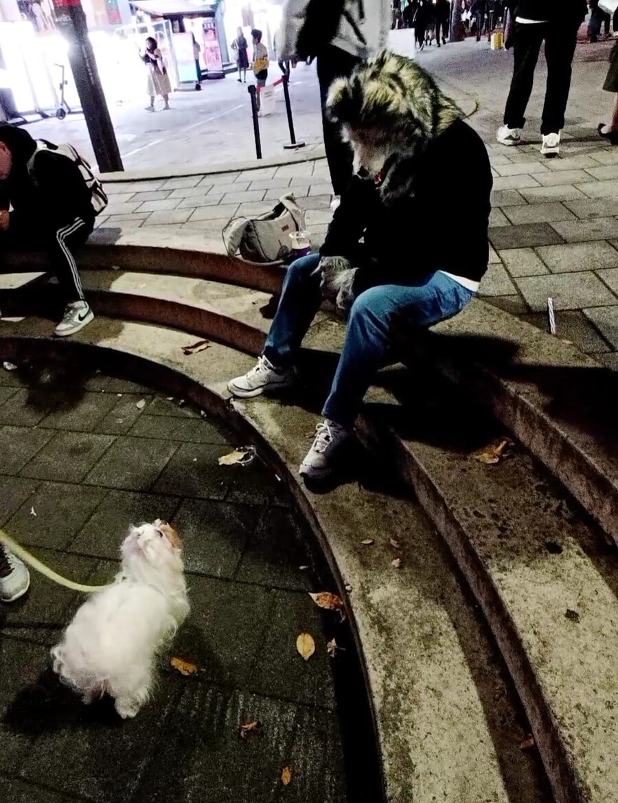 홍대 할로윈 후기_6.jpg