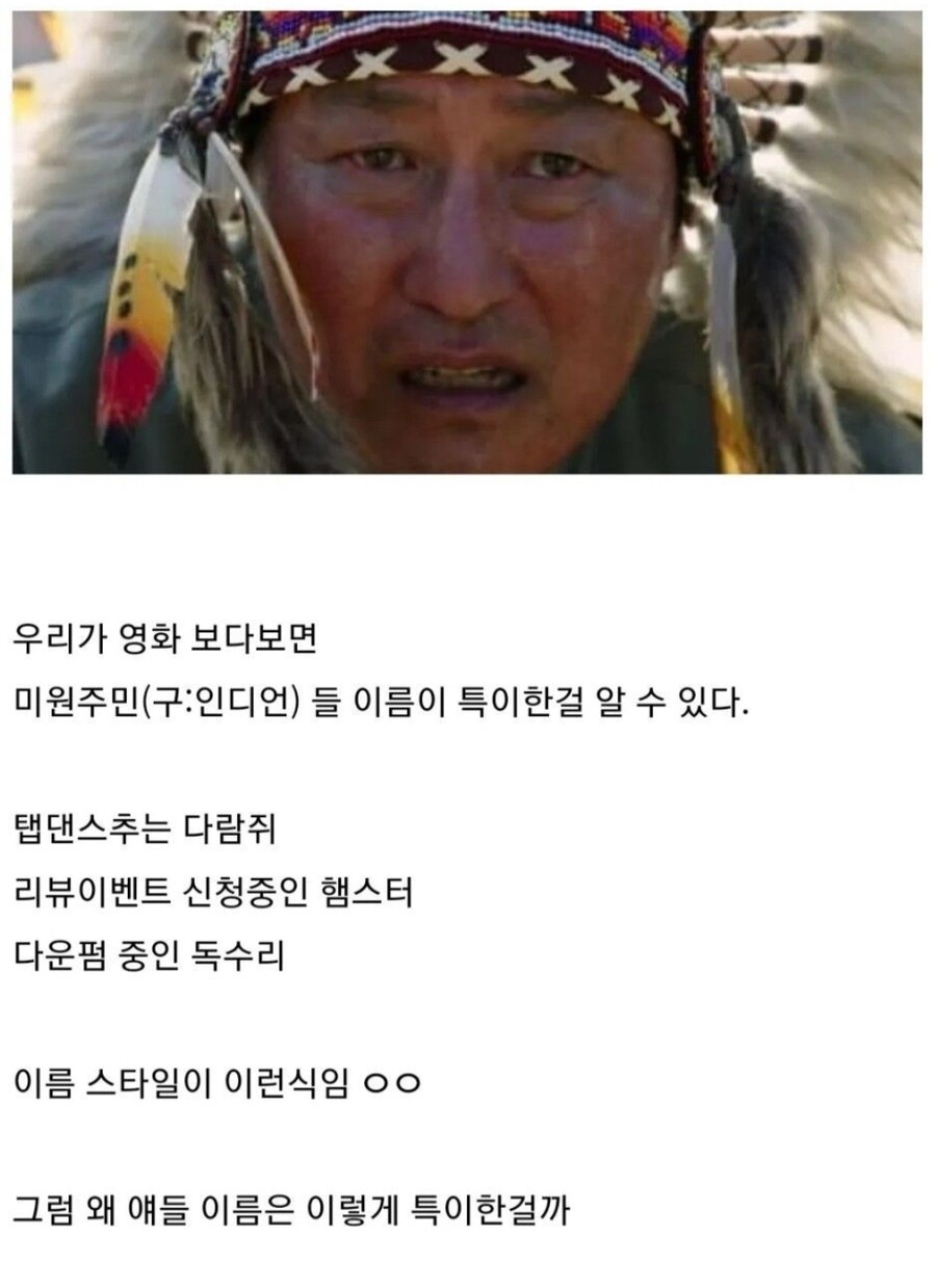 재미있는 아메리카 원주민 밈