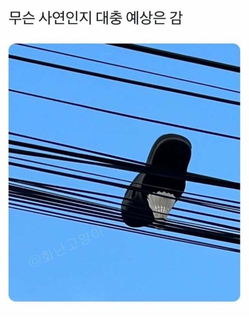 18b8c829c4054c35a.jpg