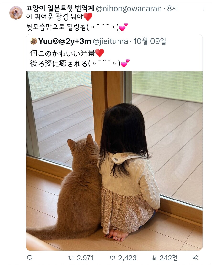 두배로 귀여운 뒷태.jpg_1.jpg