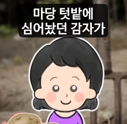 옆집 여자가 마당 텃밭의 감자를 통째로 훔쳐 갔다.jpg_1.jpg