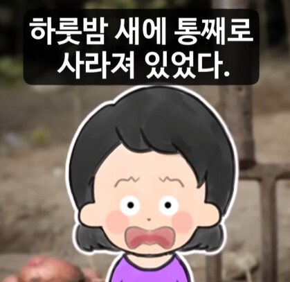 옆집 여자가 마당 텃밭의 감자를 통째로 훔쳐 갔다.jpg_2.jpg