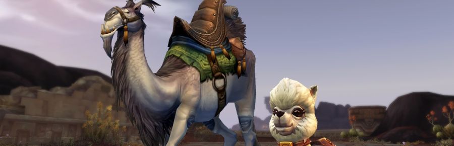 와우 트위치 드롭스: 도티 애완동물과 길들인 흰색 낙타 탈것을 손에 넣으세요_1.png