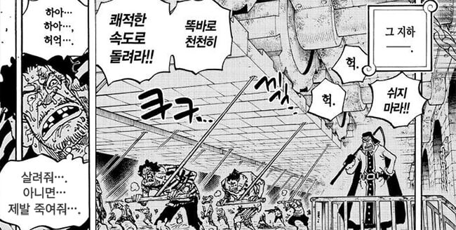 원피스)스포 천룡인의 만행 모음_8.png
