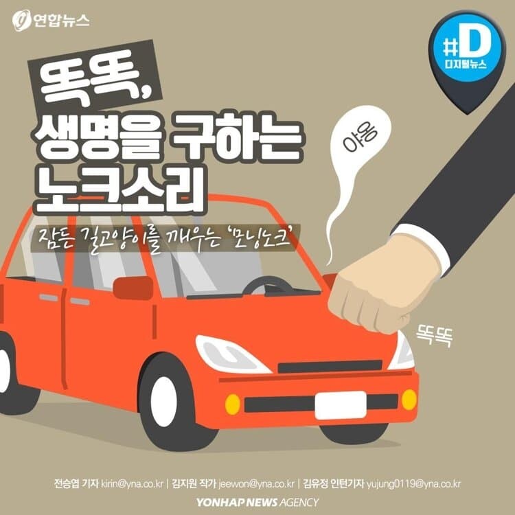 겨울에 길고양이 엔진룸 노크를 절대 하면 안되는 이유.gif_1.jpeg