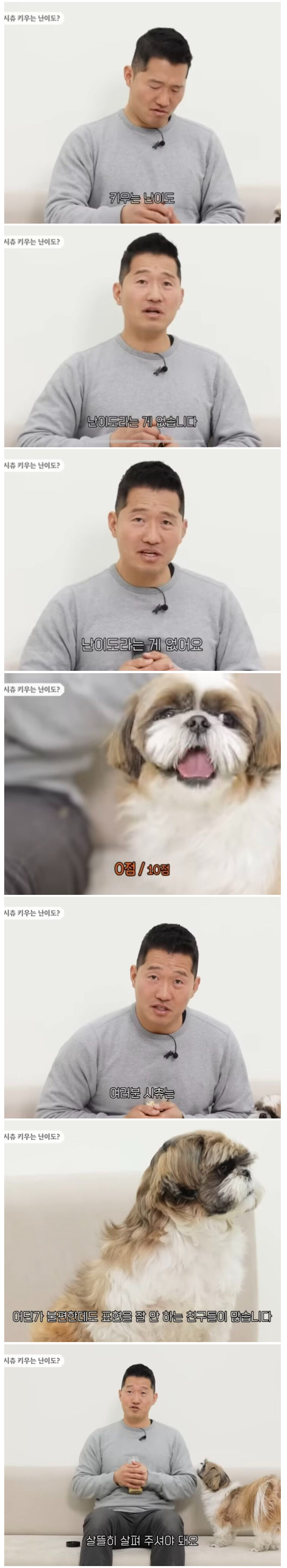 강형욱이 말하는 진짜로 키우는 난이도가 낮은 개.JPG_1.png