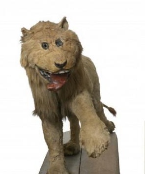 스웨덴 사자 박제가 이상하게 된 이유..jpg_2.jpg