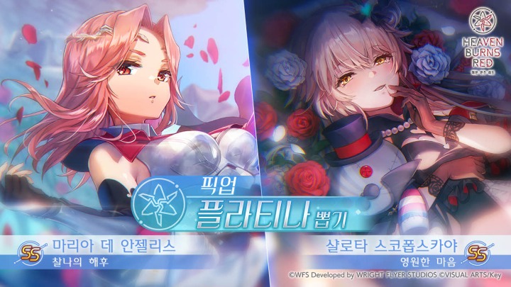 라벨라윤 이미지