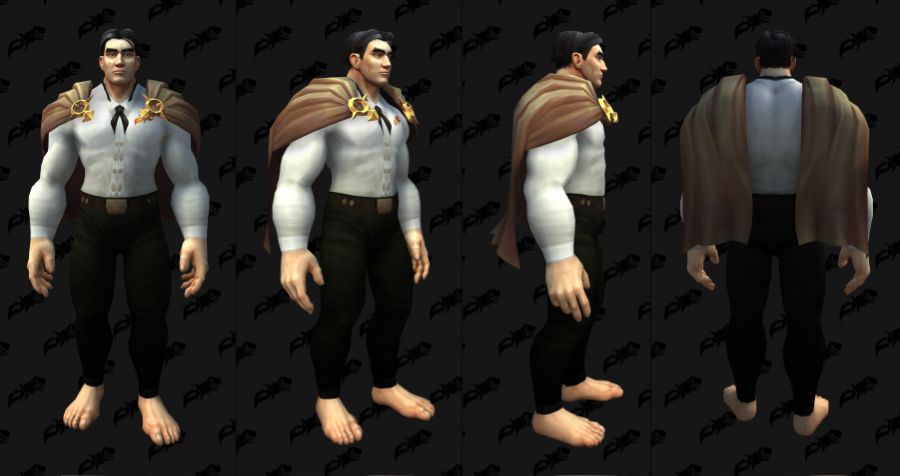 와우 용군단 10.2.5 어깨 위 망토 및 나비날개 망토 외형 추가_7.jpg