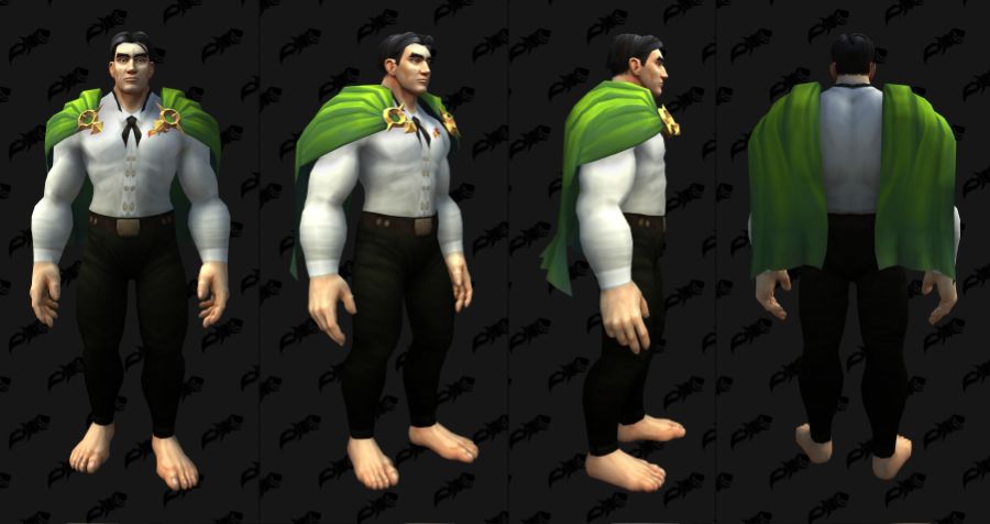 와우 용군단 10.2.5 어깨 위 망토 및 나비날개 망토 외형 추가_11.jpg