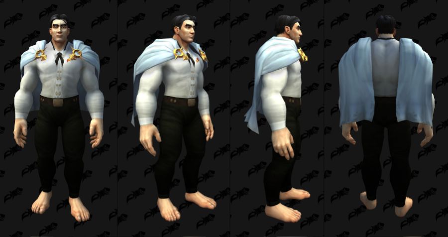 와우 용군단 10.2.5 어깨 위 망토 및 나비날개 망토 외형 추가_17.jpg