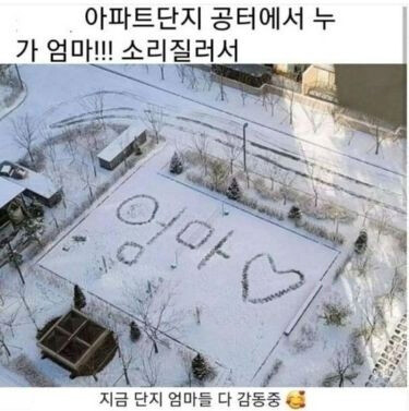 아파트 단지 엄마들 감동중.jpg_1.png