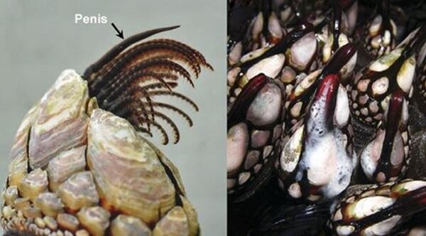 현재 논란되고있는 페미,롤. 정보종합 자료(추가중)_12.jpg