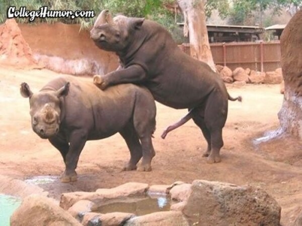 현재 논란되고있는 페미,롤. 정보종합 자료(추가중)_10.jpg