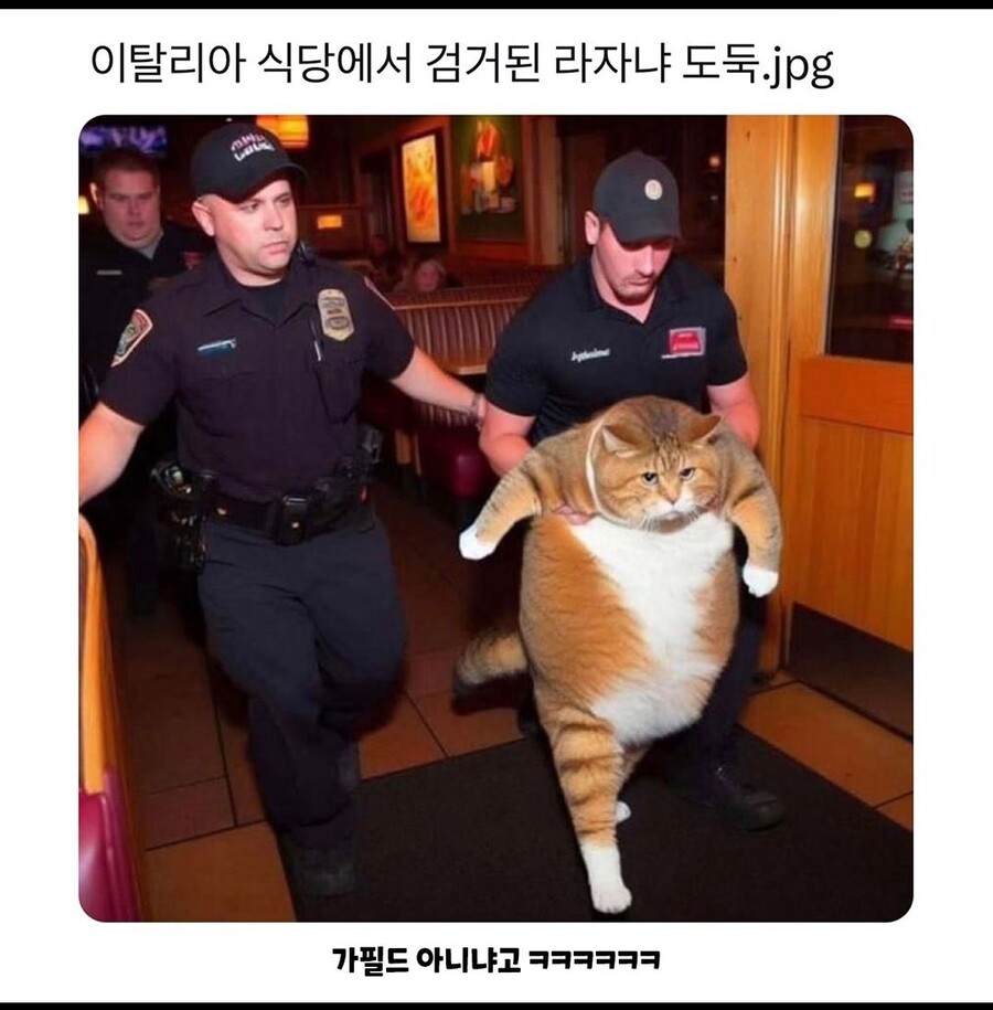 이탈리아 식당에서 잡힌 라자냐 도둑. | 정치유머 게시판 이탈리아 식당에서 잡힌 라자냐 도둑. | 정치유머 게시판 | 루리웹