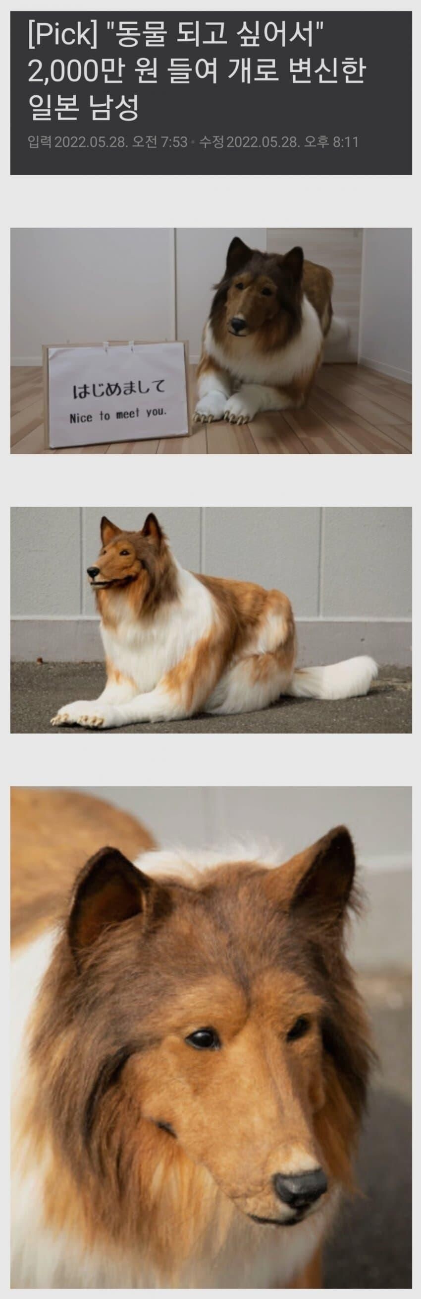 개같다 이거에요.gif_1.jpg