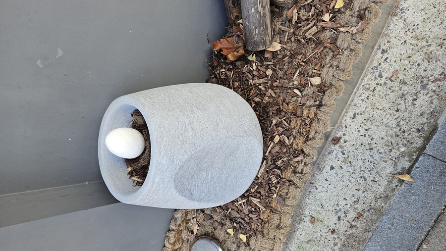 서울 합정 라무라 (닭고기 라멘)_6.jpg