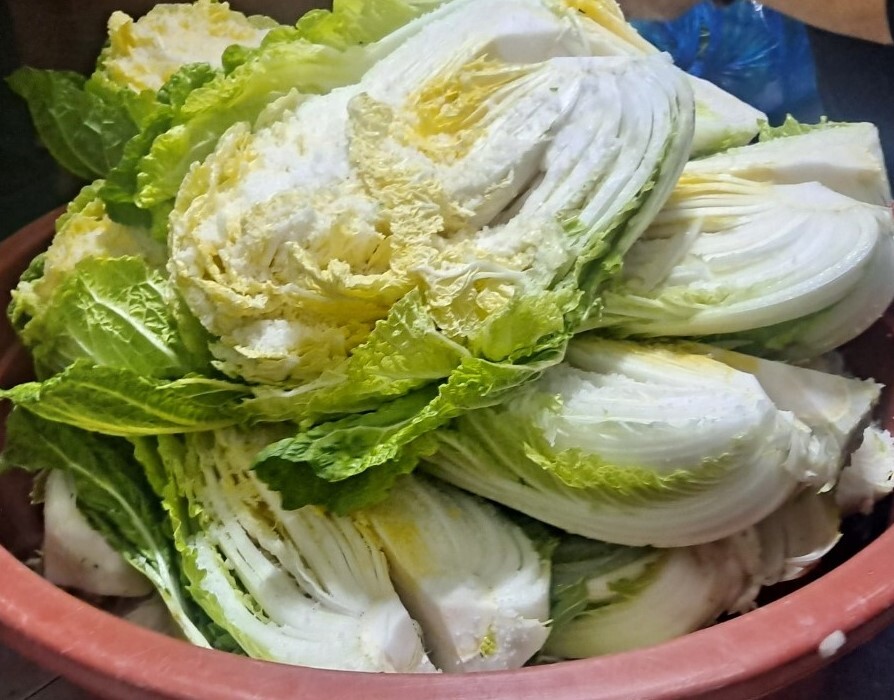 (스압)나 너무 많은 일이 잇엇어 힘들다 진짜(김장)_5.jpg