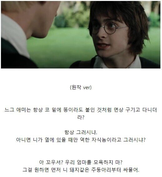 해리포터) 덤블도어가 아기 해리를 더즐리네에게 맡길 수 있었던 이유_12.jpg
