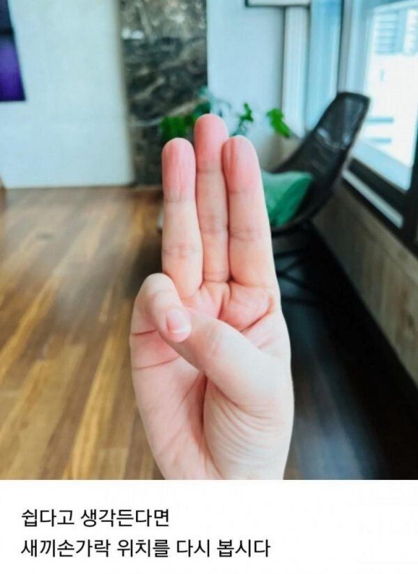 진짜 극소수만 된다는 손동작.jpg_1.jpg