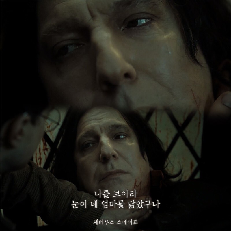 나이트런) 드라이가 피어 쌩얼 봤을 때 느꼈을 심정_1.jpg