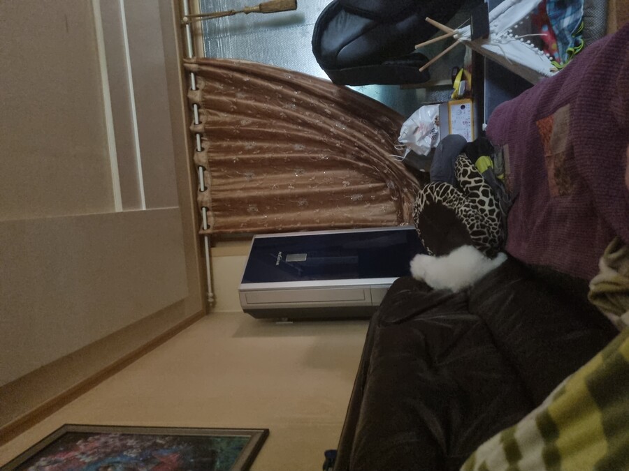 멍뭉이 사진 더 가져와써요_2.jpg