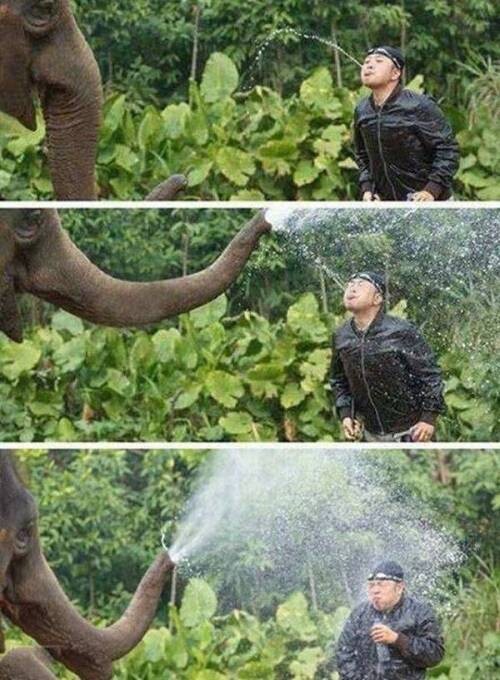 코형 한테 까불면 안되는 이유.jpg_1.jpg