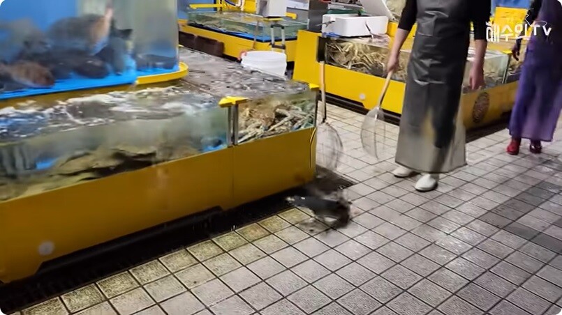 뭘 자꾸 사와서 키우는 유튜버_4.jpg