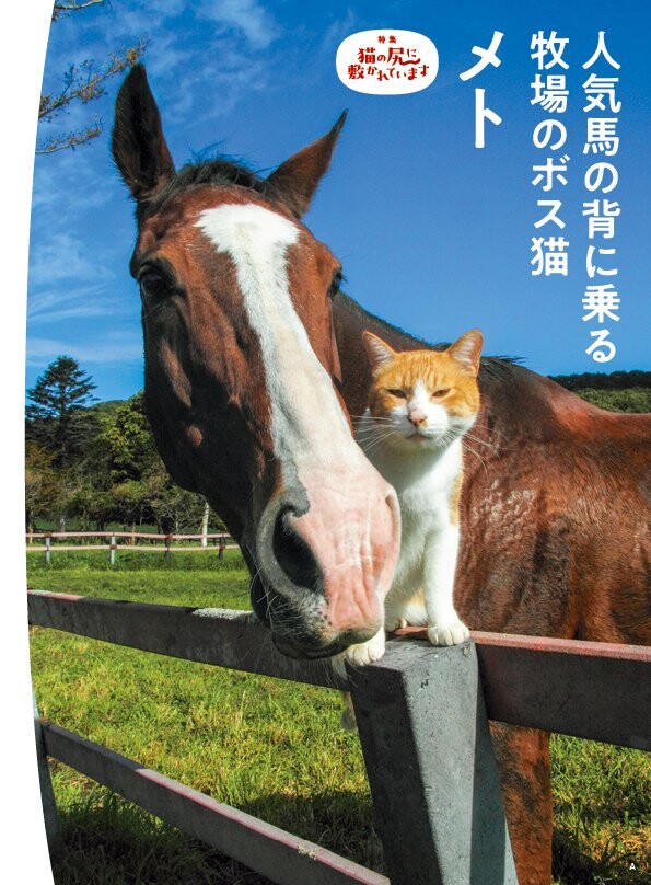 앞 일 걱정도 많이 하면 독이 되는 듯_1.jpg