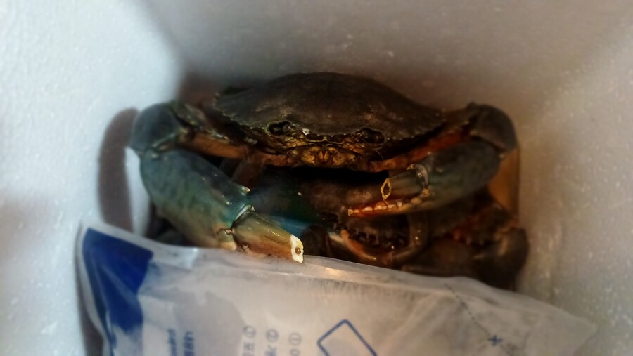 부산 청게_2.jpg